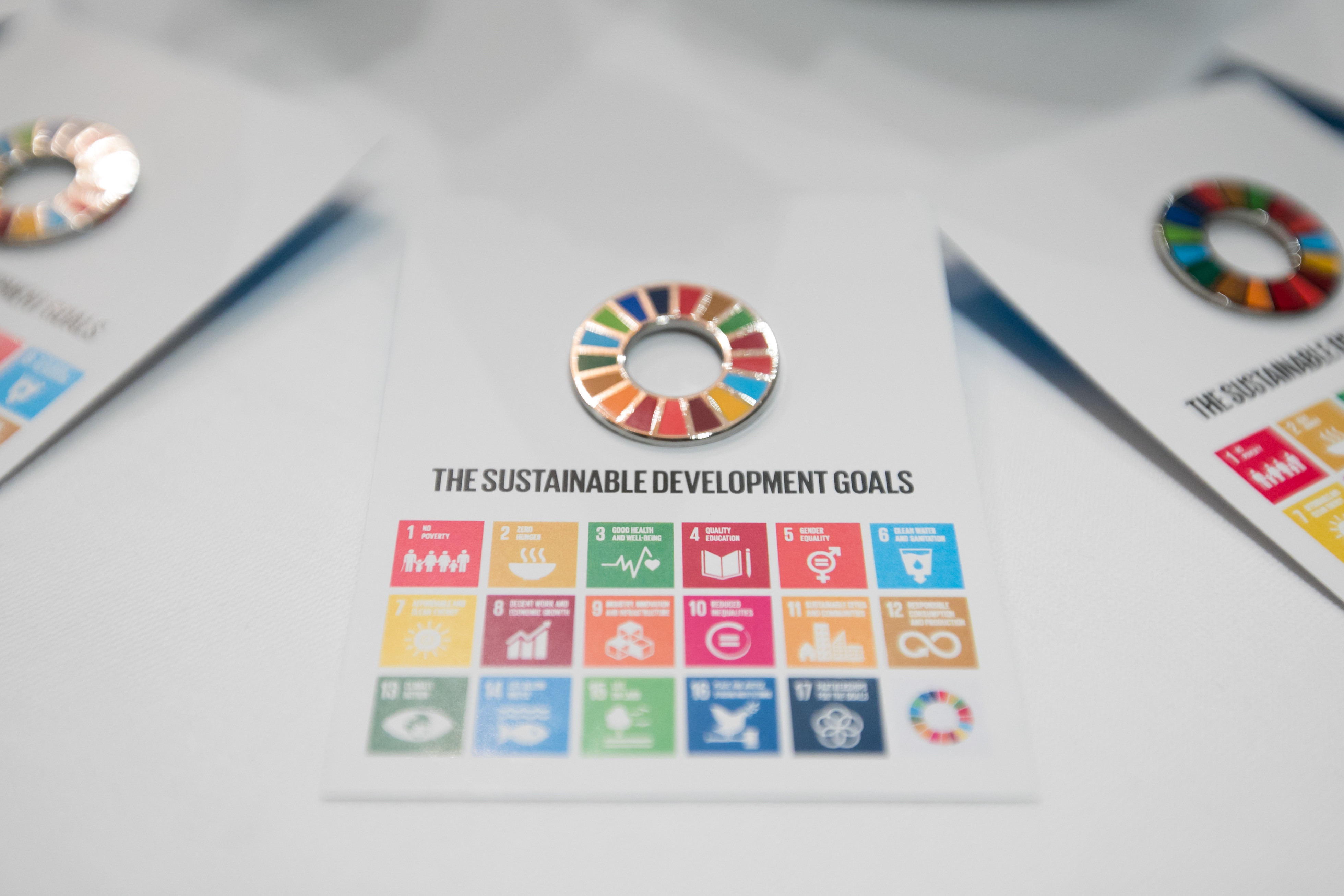 UN SDGs and Climate Change